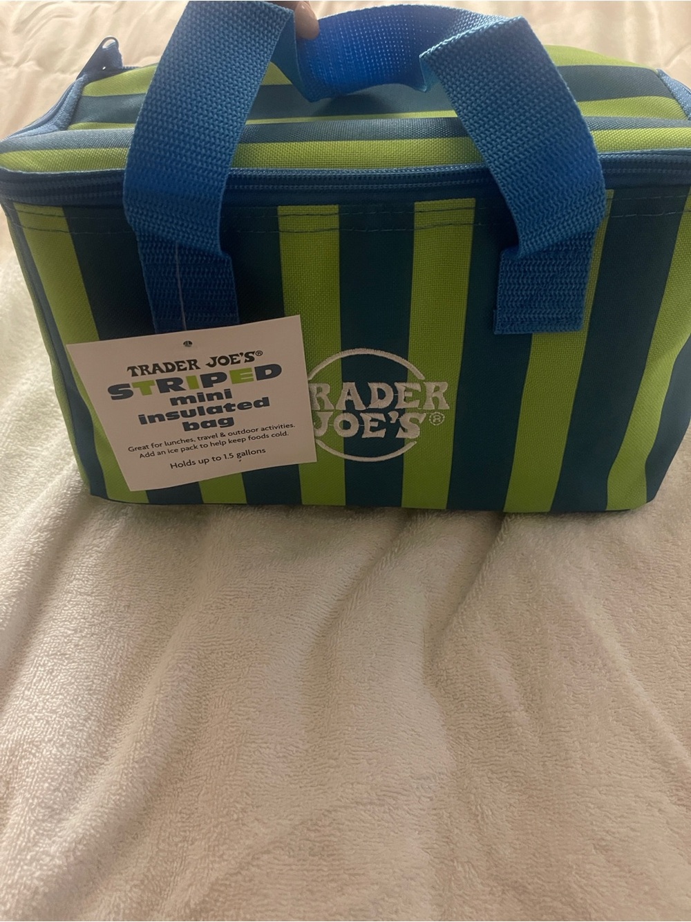 Trader Joe's Striped Insulated Mini Bag in Blue and Lime